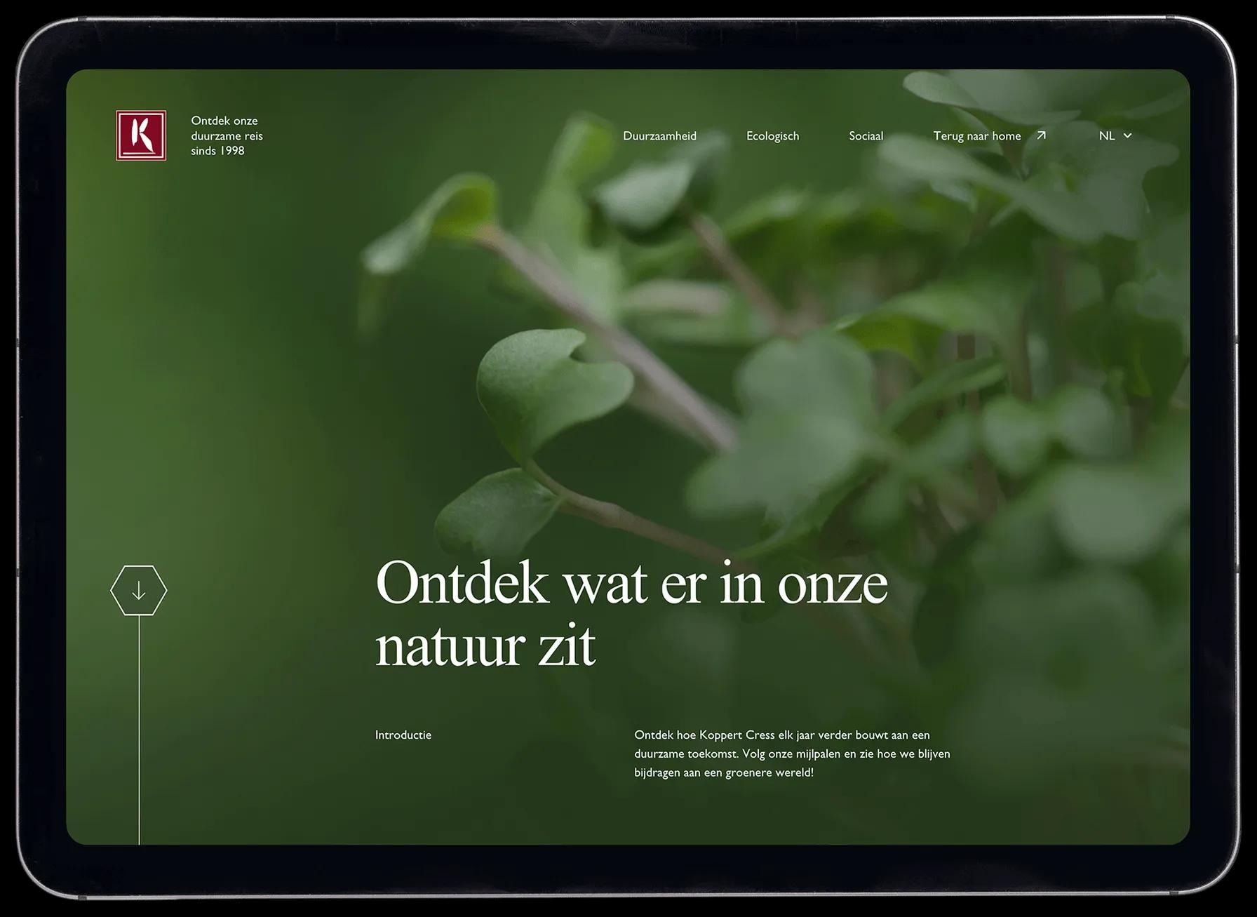 Kinderen genieten van een Spoony maaltijd